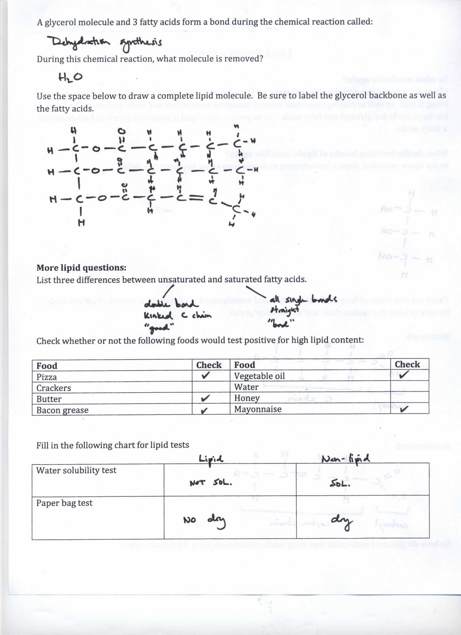 Atoms And Ions Worksheet Answers throughout Isotopes Ions And Atoms Worksheet