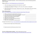 Atp Photosynthesis And Cellular Respiration Webquest Worksheet Answer Key with Atp Worksheet Answer Key
