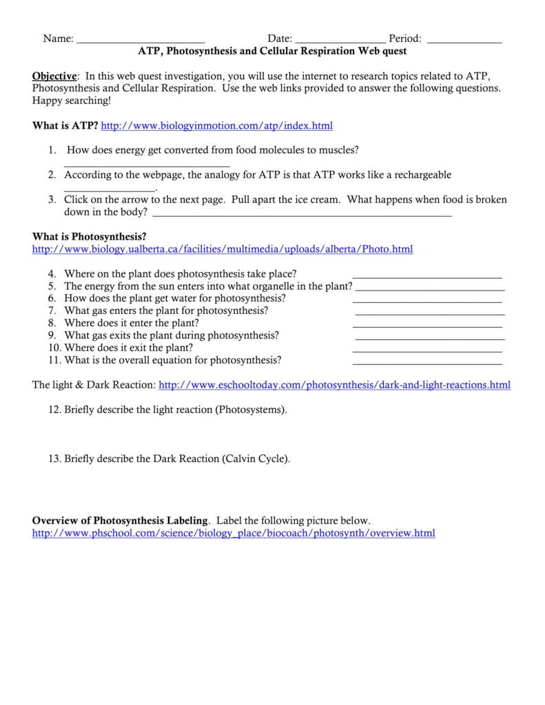 Atp Photosynthesis And Cellular Respiration Webquest Worksheet Answer Key with Atp Worksheet Answer Key
