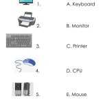 Basic Parts Of The Computer Worksheet Inside Parts Of A Computer Worksheet