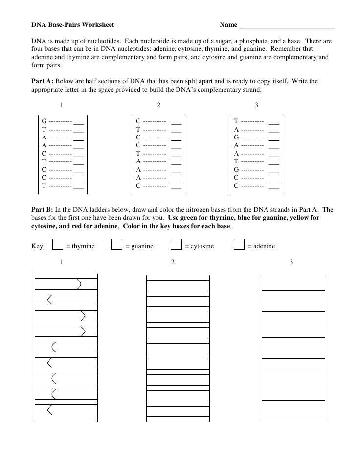 Beautiful Dna Base Pairing Worksheet Answers - The Blackness Project Pertaining To Dna Base Pairing Worksheet Answers