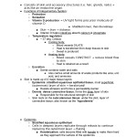 Bestseller: Chapter 5 The Integumentary System And Body Membranes Pertaining To Integumentary System Worksheet Answers