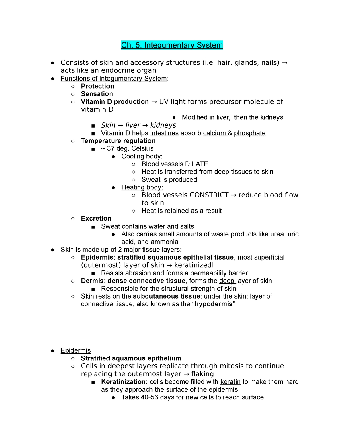 Bestseller: Chapter 5 The Integumentary System And Body Membranes Pertaining To Integumentary System Worksheet Answers