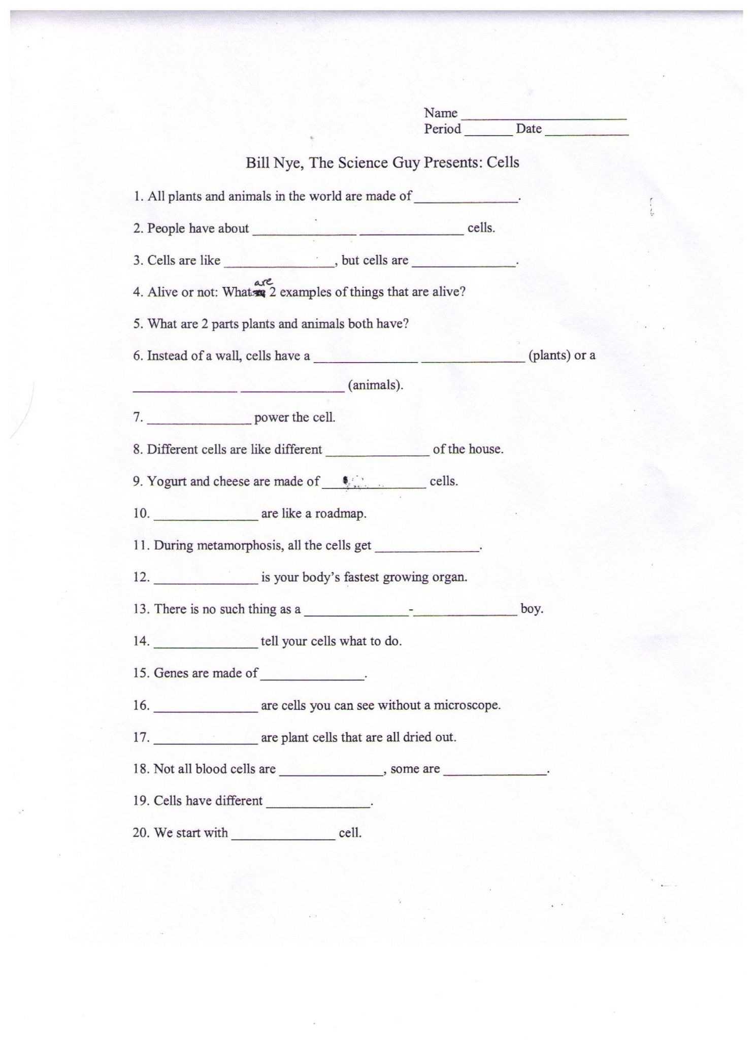 Bill Nye Energy Video Worksheet Answer Key : 33 Food Web Worksheet In Bill Nye Electricity Worksheet