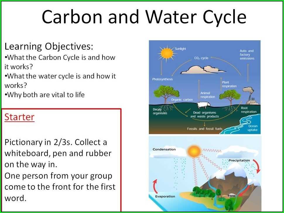 Bill Nye Water Cycle Worksheet Answers Worksheet : Resume Examples In Bill Nye Water Cycle Worksheet