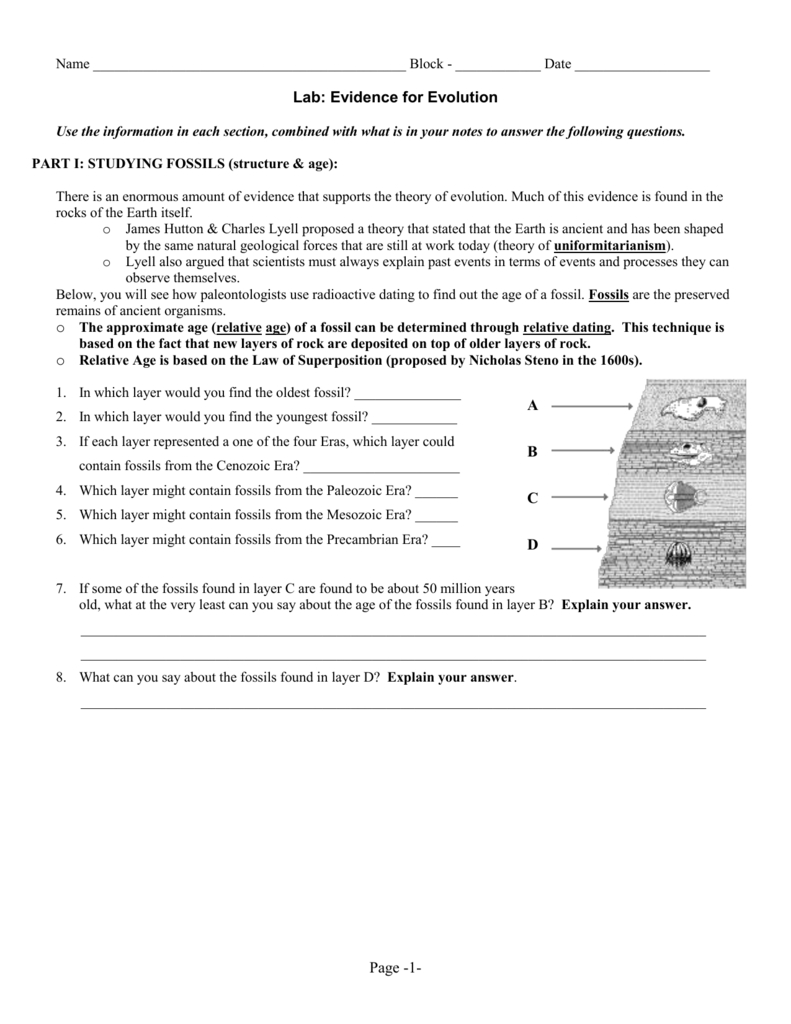 Biochemical Evidence For Evolution Worksheet within Evidence For Evolution Worksheet
