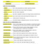 Biogeochemical Cycles Worksheet Answer Key — Db-Excel for Biogeochemical Cycles Worksheet Answers