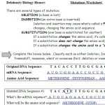 (Biol 2401)Mutation Worksheet Answers Key | Homework Score With Mutations Worksheet Answer Key