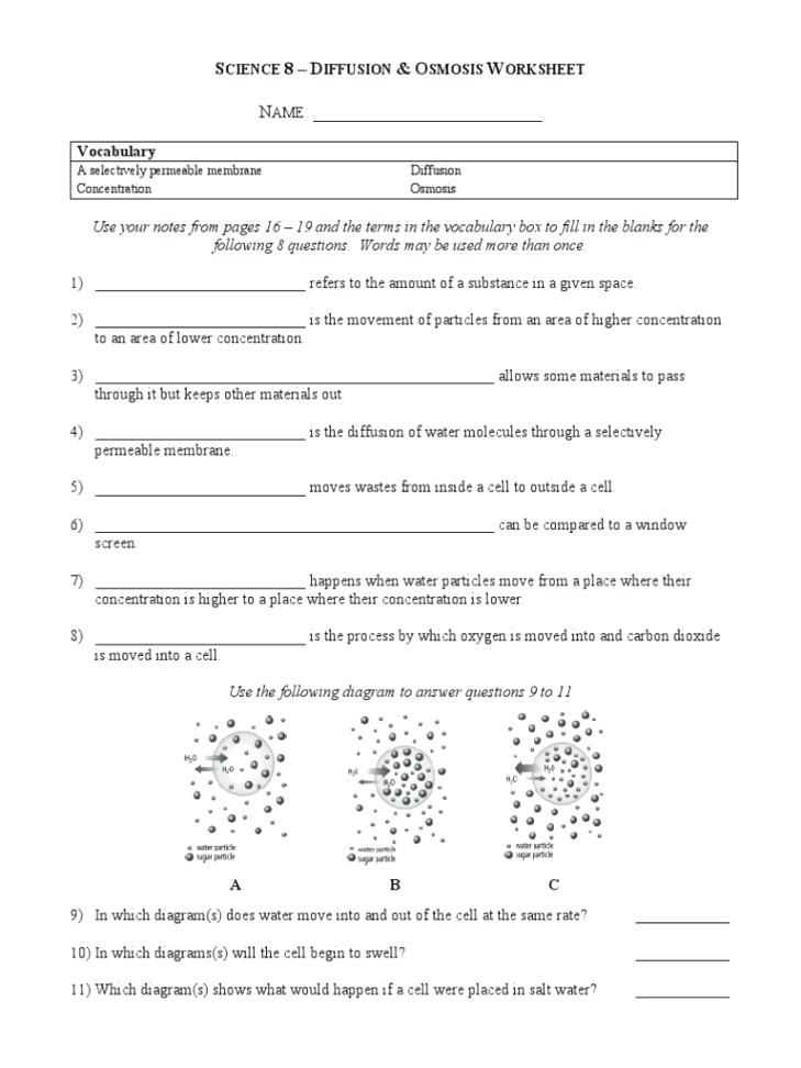 Biology Diffusion And Osmosis Worksheet Answer Key | Briefencounters Inside Diffusion And Osmosis Worksheet Answers
