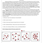 Biology Diffusion And Osmosis Worksheet Answer Key — Db Excel Within Diffusion And Osmosis Worksheet Answers