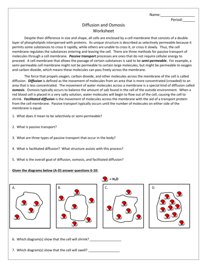 Biology Diffusion And Osmosis Worksheet Answer Key — Db Excel Within Diffusion And Osmosis Worksheet Answers