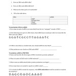 Biology Keystone Review Packet Protein Synthesis Answer Key → Waltery With Protein Synthesis Worksheet Answer Key