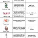 Biology Levels Of Organization Worksheets Within Levels Of Biological Organization Worksheet