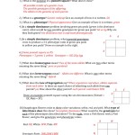 Blood Type And Inheritance Worksheet Answers – Lucky2Bemyself Regarding Genetics Problems Worksheet Answers