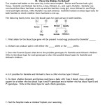 Blood Type Worksheet Answers – Ivuyteq Within Blood Type And Inheritance Worksheet