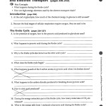 Bookmark File Pdf Cellular Respiration Worksheet Answer Key (Pdf) - Vcon.duhs.edu.pk regarding Cellular Respiration Worksheet Key