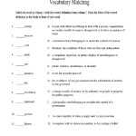 Boston Tea Party Worksheet with Boston Tea Party Worksheet