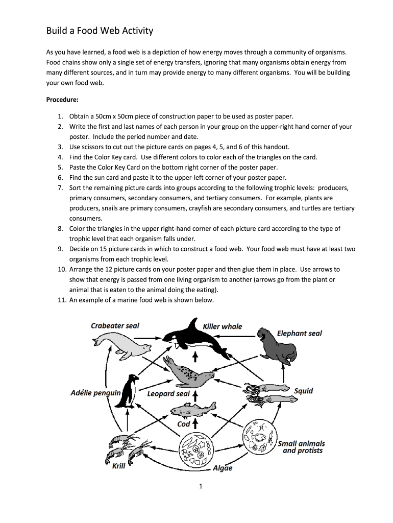 Build A Food Web Activity Answer Key - Fill Online, Printable, Fillable in Food Web Worksheet Answer Key