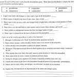 Carbon Cycle Worksheet Answer Key — Db Excel Inside The Carbon Cycle Worksheet Answers