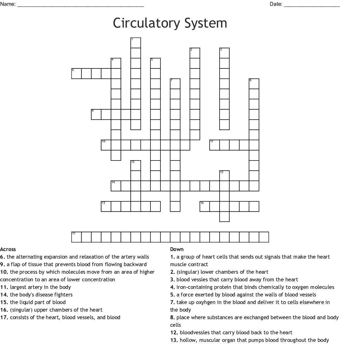Cardiovascular System Worksheet Answers — Db Excel Inside Circulatory System Worksheet Answers