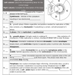 Cell Cycle And Mitosis Worksheet Doc Template | Pdffiller Intended For The Cell Cycle Worksheet
