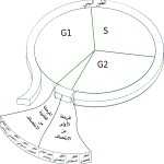Cell Cycle Drawing Worksheet At Paintingvalley | Explore Collection Within Cell Cycle Coloring Worksheet