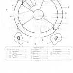 Cell Cycle Student Worksheet Answer Key – The Cell Cycle Worksheet Talking About Mitosis Regarding The Cell Cycle Worksheet Answers