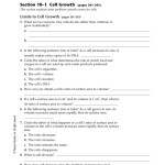 Cell Growth And Division Worksheet Answer Key Throughout Cell Division Worksheet Answers
