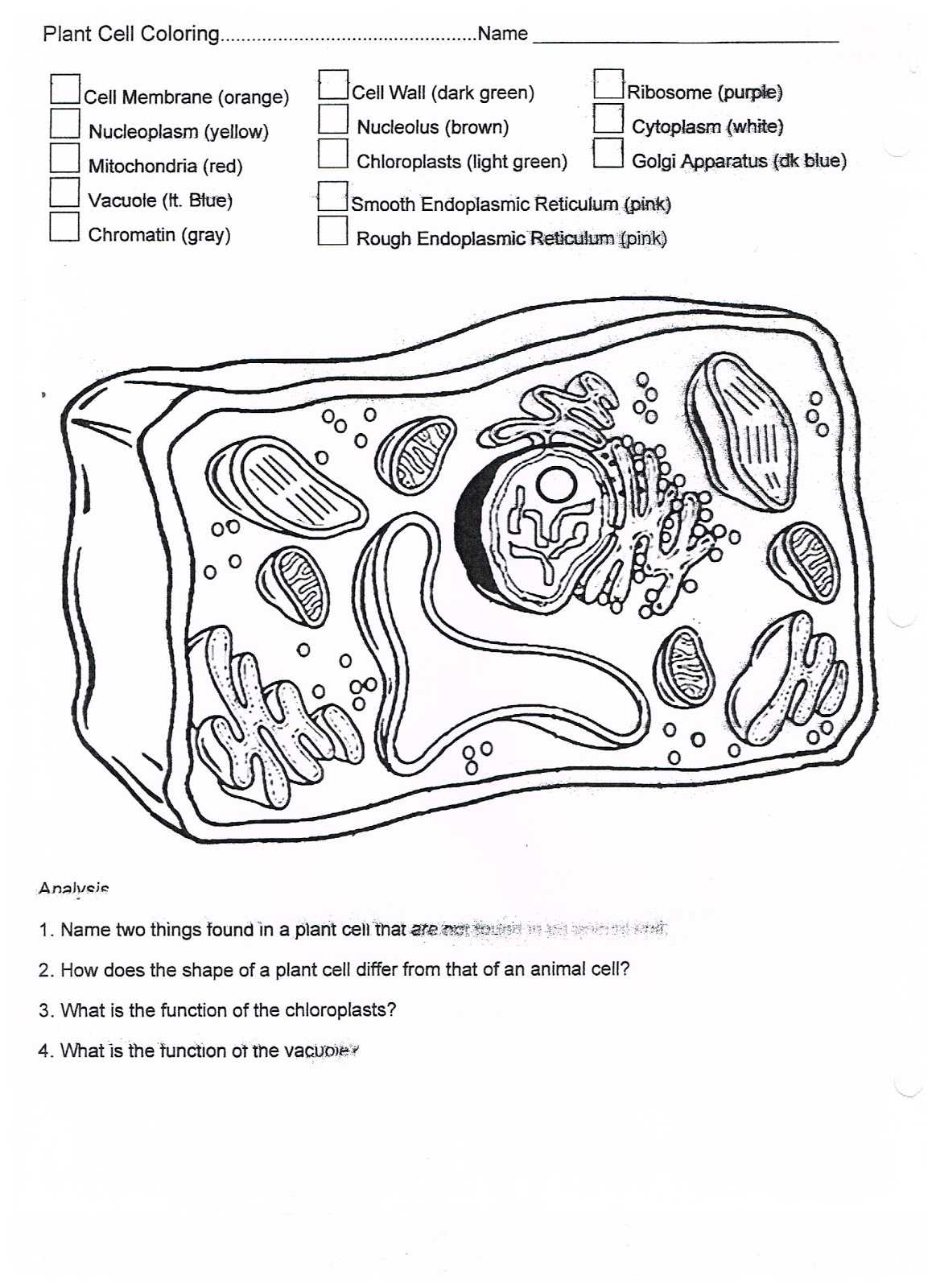 Cell Labeling Animal Cell Answer Key With Regard To Animal Cell Coloring Worksheet