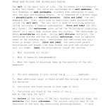 Cell Membrane And Tonicity Worksheet Key | Printable Worksheets And In Cell Membrane And Tonicity Worksheet