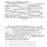 Cell Membrane Coloring Worksheet Regarding Cell Membrane Coloring Worksheet