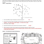 Cell Membrane Images Worksheet Answers with regard to Cell Membrane Images Worksheet Answers