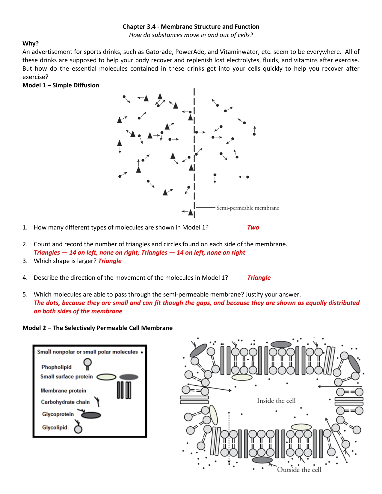 Cell Membrane Images Worksheet Answers with regard to Cell Membrane Images Worksheet Answers