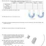 Cell Membrane Transport Worksheet Answers – Naturalmed Inside Cell Transport Review Worksheet Answers