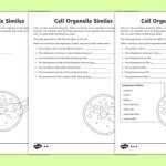 Cell Organelle Worksheets With Answers | Science Resources Within Cells And Organelles Worksheet