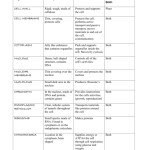 Cell Organelles And Their Functions Worksheet Answers | Db Excel Intended For Cell Organelles Worksheet Answers