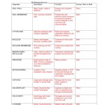 Cell Organelles And Their Functions Worksheet — Db-Excel pertaining to Function Of The Organelles Worksheet