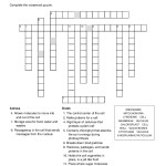 Cell Organelles – Crossword – Quickworksheets Regarding Cells And Organelles Worksheet
