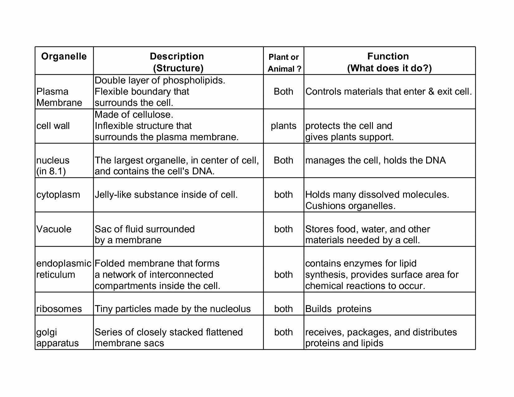 Cell Organelles Worksheet Answer Key — Db-Excel intended for Cell Organelles Worksheet Answer Key