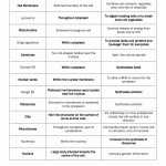 Cell Organelles Worksheet Answers – Upnatural In Cells And Their Organelles Worksheet