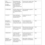 Cell Organelles Worksheet Regarding Cell Structure And Function Worksheet