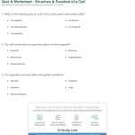 Cell Structure And Function Worksheet — Db Excel With Regard To Cell Structure And Function Worksheet