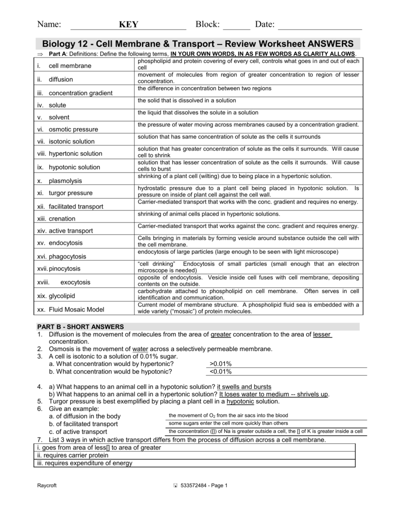 Cell Transport Review Worksheet Answers In Cell Transport Worksheet Answers