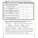Cell Transport Review Worksheet Answers In Transport In Cells Worksheet Answers