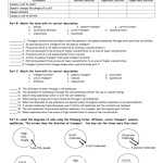 Cell Transport Review Worksheet — Db-Excel for Cell Transport Review Worksheet