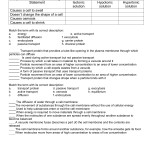 Cell Transport Review Worksheet In Cell Transport Review Worksheet