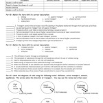 Cell Transport Worksheet Answer Key — Db Excel Pertaining To Transport In Cells Worksheet Answers