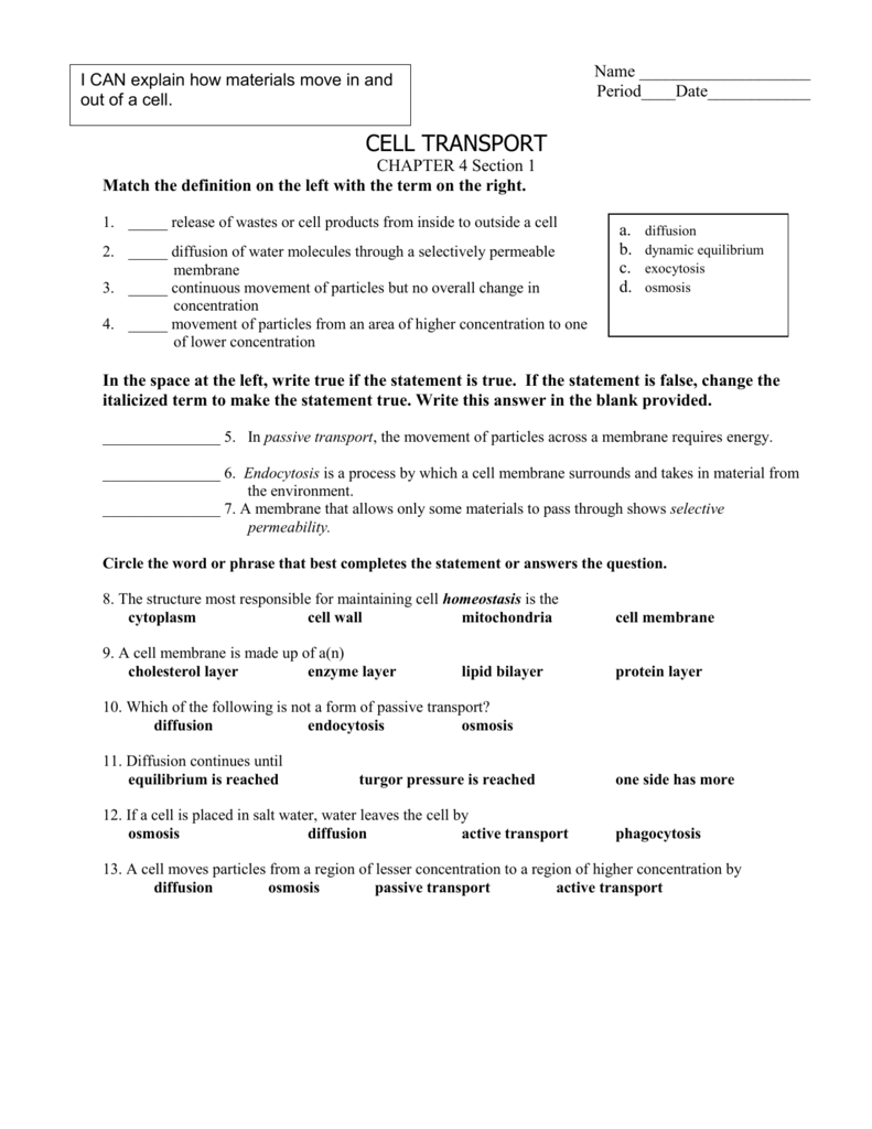 Cell Transport Worksheet Biology Answers for Transport In Cells Worksheet Answers