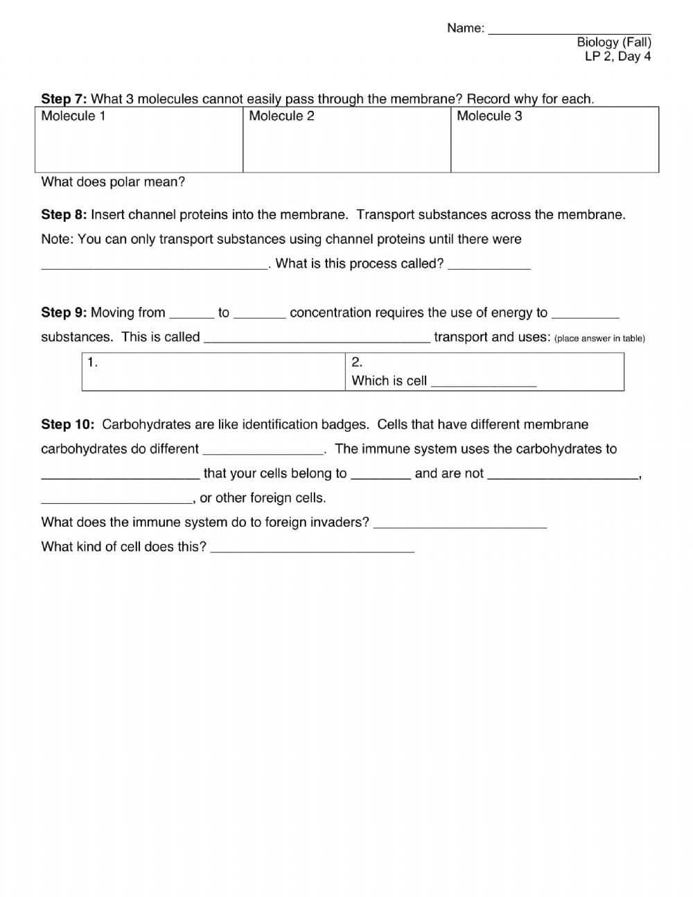 Cell Transport Worksheet Biology Answers | Worksheet For Education Within Cell Transport Worksheet Biology Answers