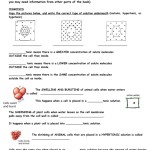 Cell Transport Worksheet Cellular Transport Within Transport In Cells Worksheet